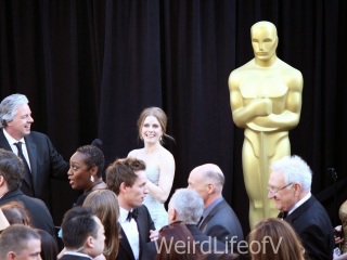 Amy Adams looking at the fans at the 2013 Oscars.